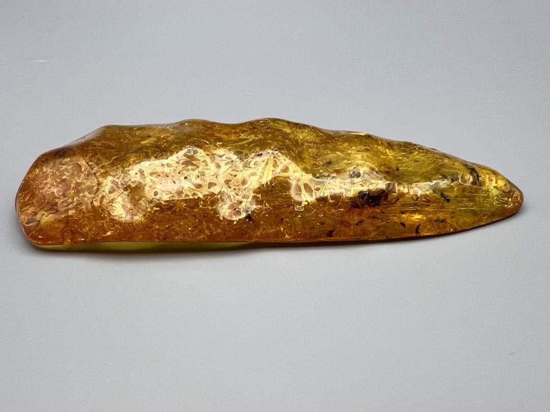 虫入り琥珀　多種多様な虫を内包した　バルティック　アンバー　バルト海沿岸地域産