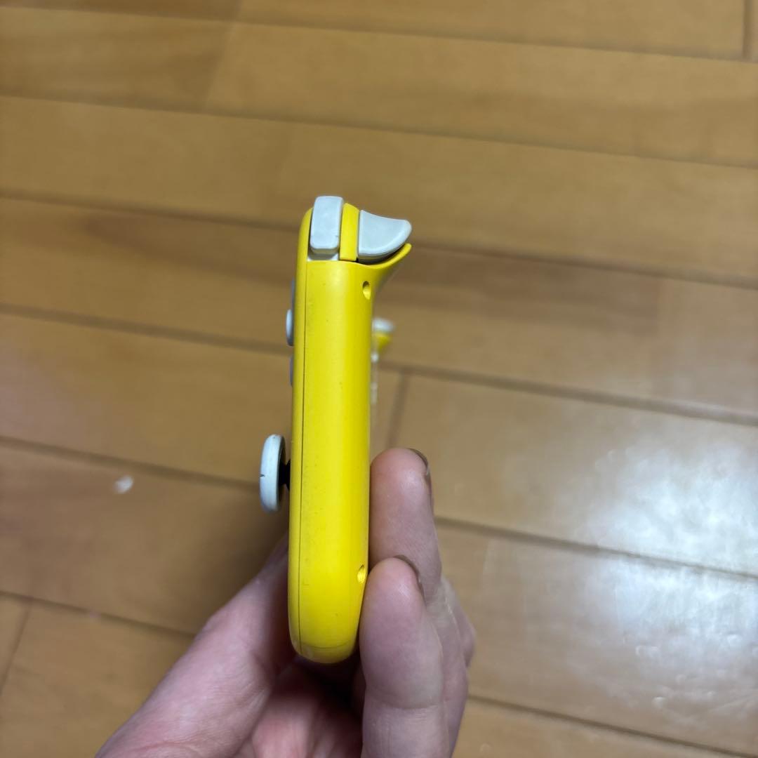 Switchライト　液晶不良