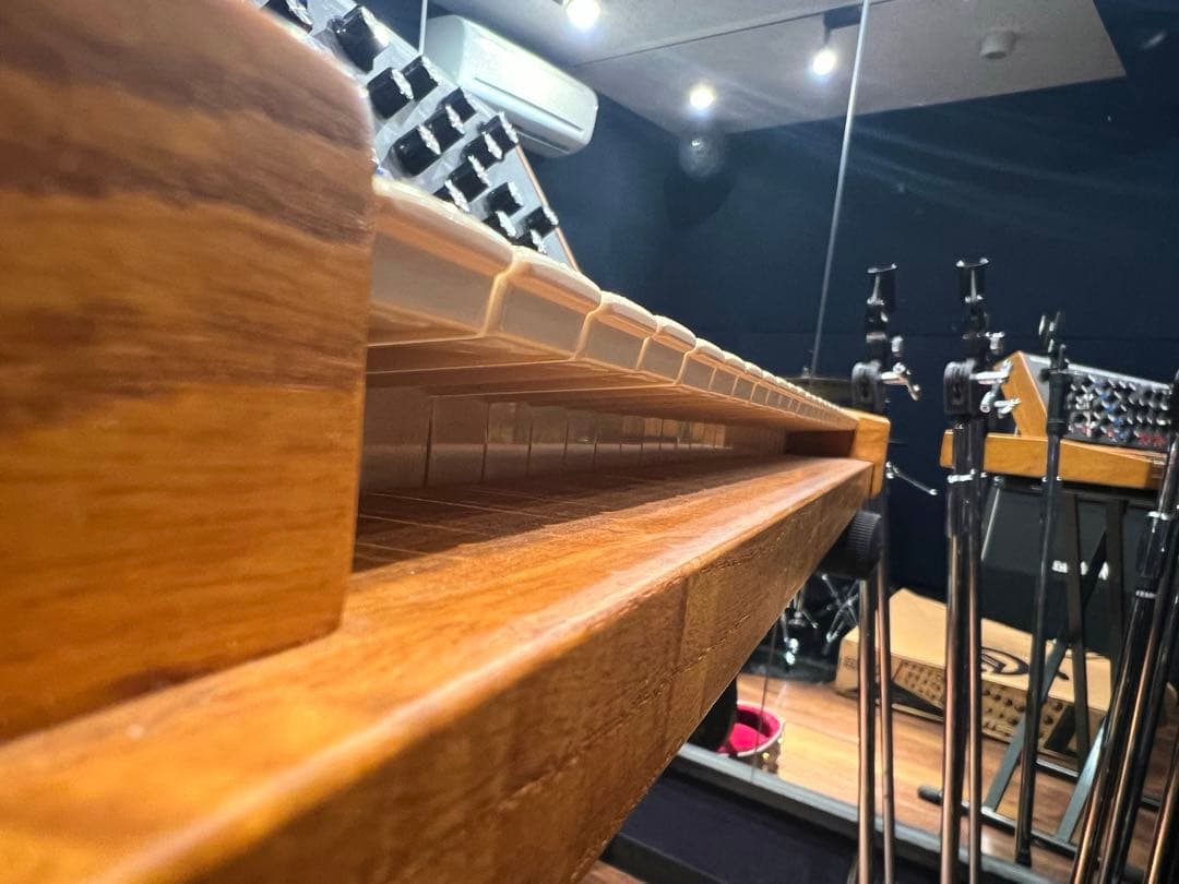 【希少】Moog Minimoog Voyager OLD SCHOOL