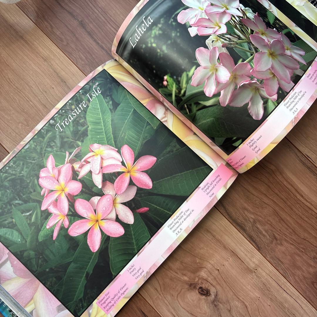 趣味・スポーツ・実用 The Exotic Plumeria Volume 1