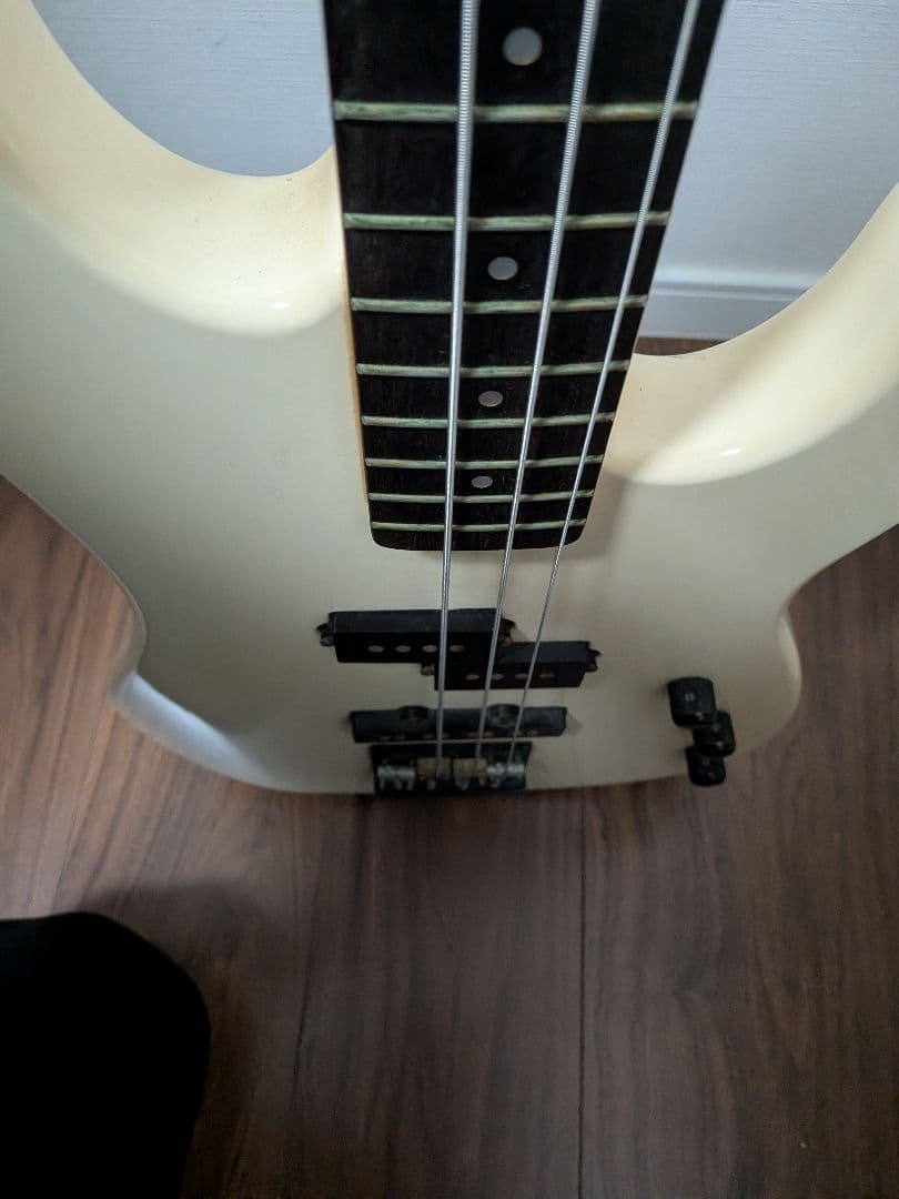 Fernandes Limited Edition　ソフトケース新品弦付きます