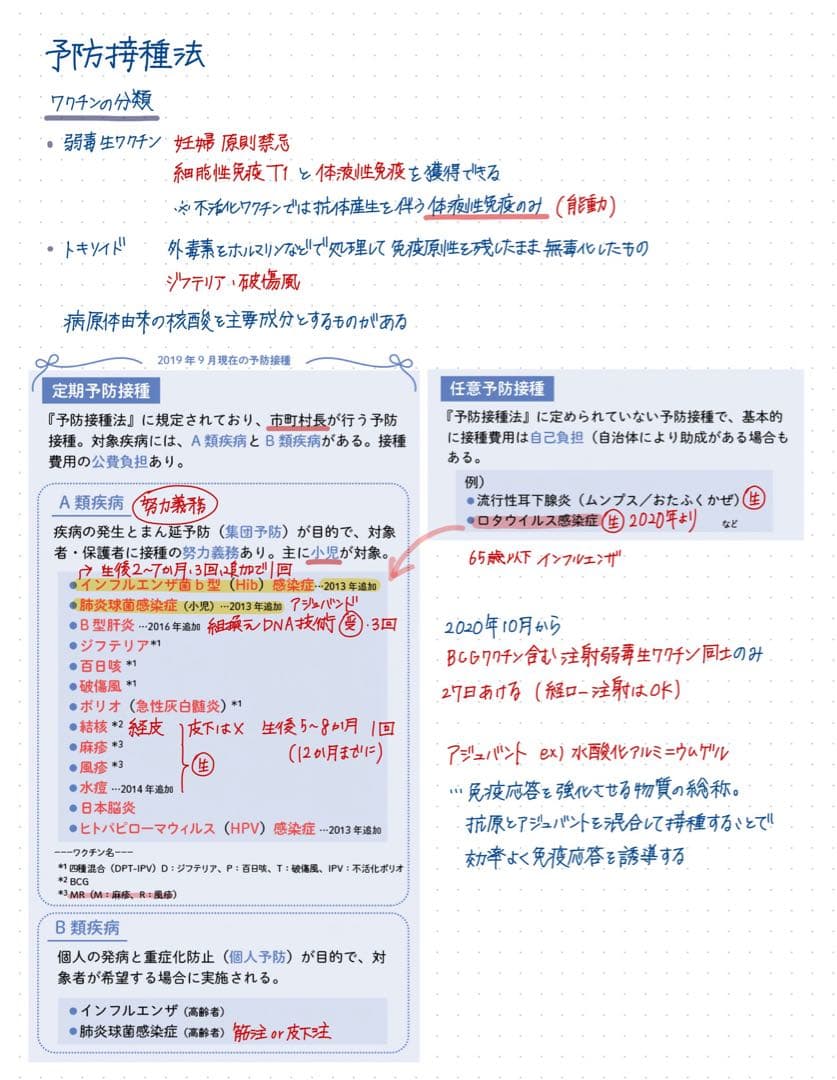 【ぴ】薬剤師国家試験対策 まとめノート 全科目セット 薬学部