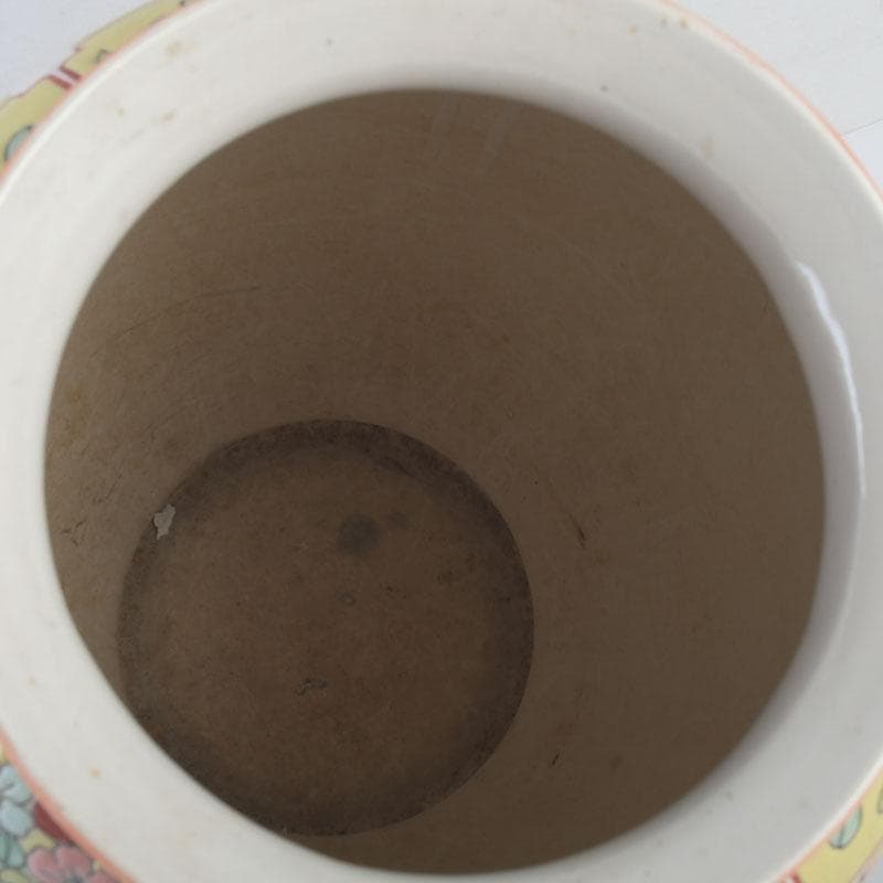 中国　粉彩　花草鳥文瓶　花瓶　V　9820A