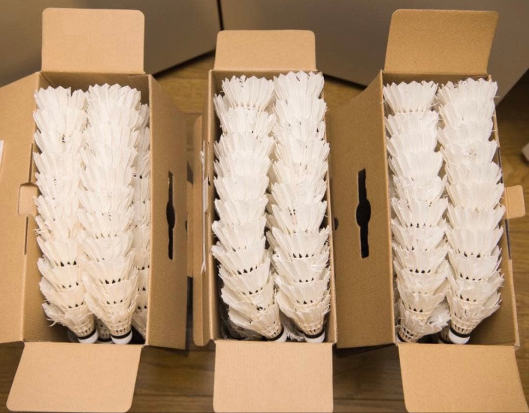 バドミントン シャトル 中古 500球 ノック用 バッティング用 フライピーク