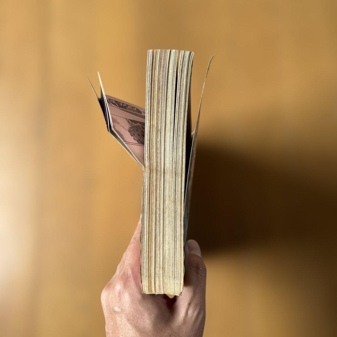 週刊少年ジャンプ 1998年21号 明稜帝梧桐勢十郎 表紙巻頭カラー