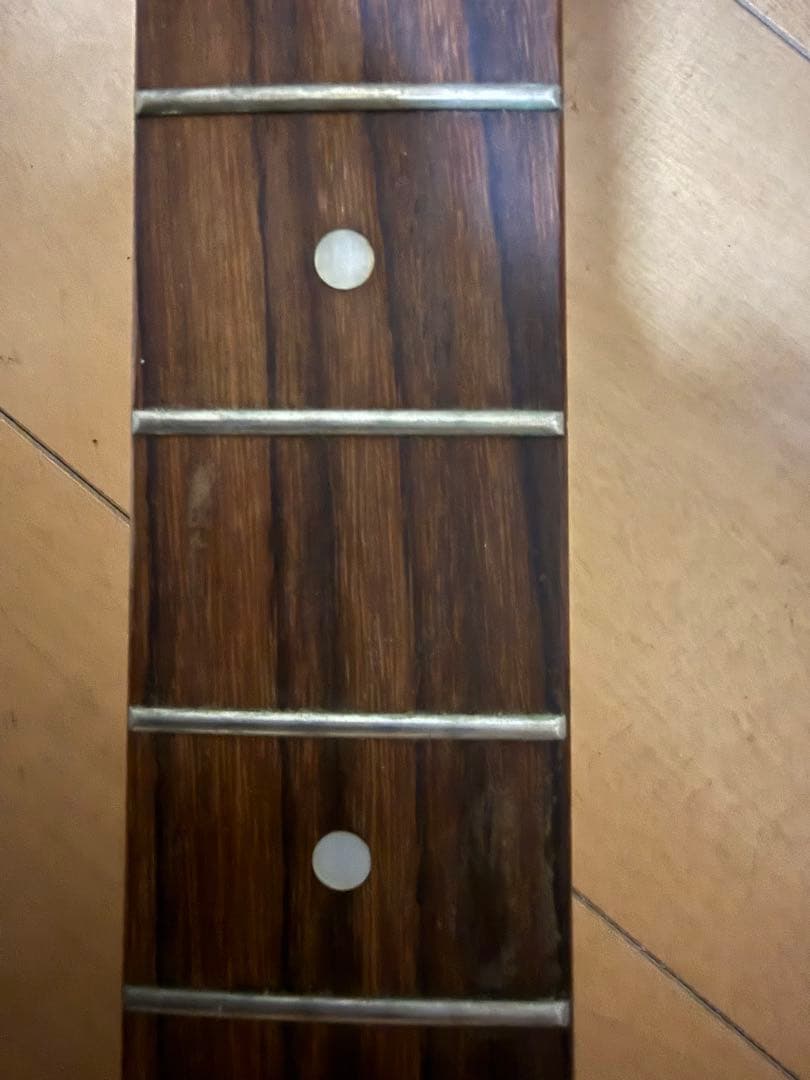 【最終値下げ】バッカス テレキャスターモデル ユニバースシリーズ