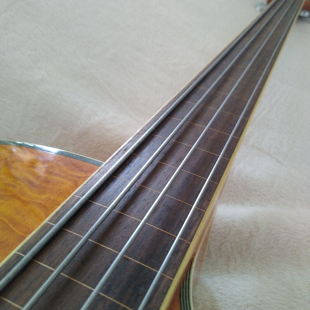 エレアコ・フレットレスベース 　Ｇreg Bennet AB-11CE/FL