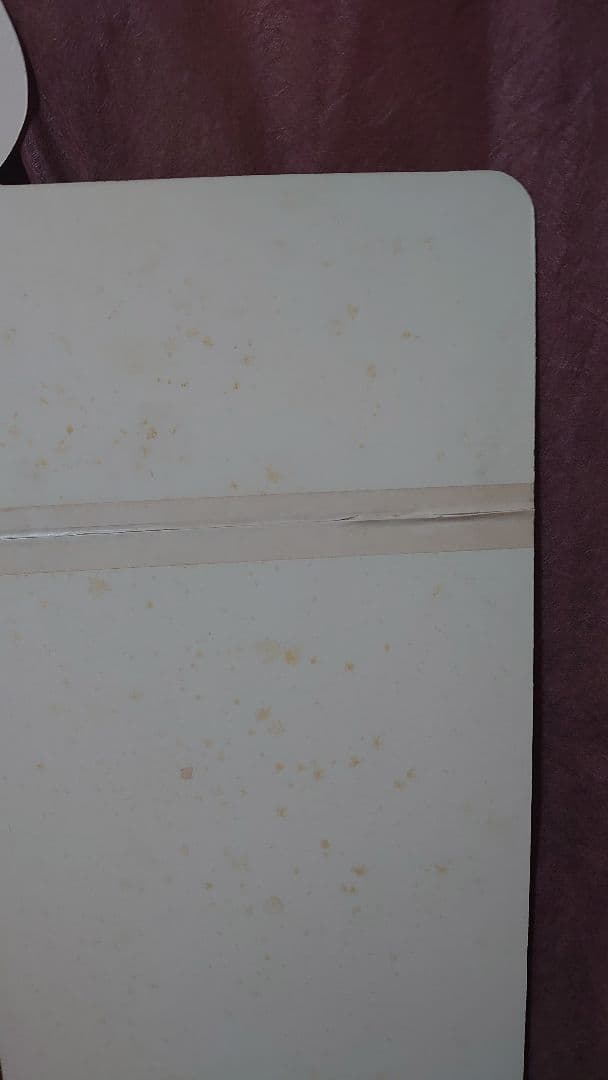 森高千里 等身大パネル アサヒビール