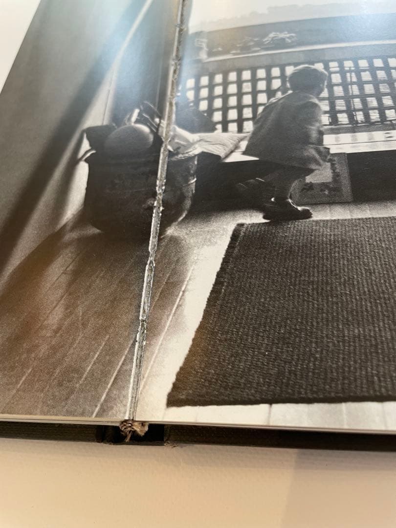 Le Corbusier ルネブリ　ル•コルビュジエ　Rene Burri 絶版