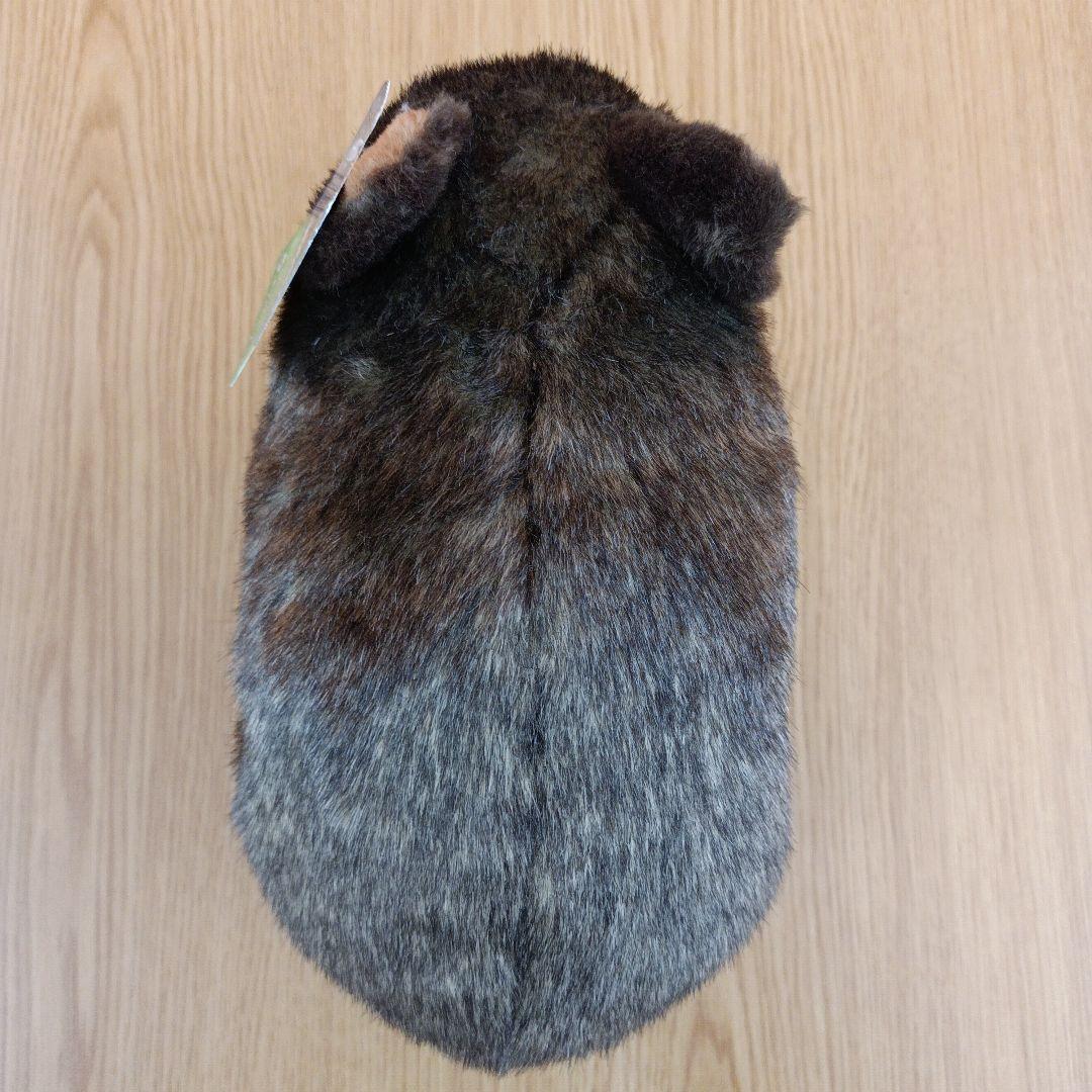 茶臼山動物園 コモンウォンバット ウォレス モモコ ぬいぐるみ マスコット 2点