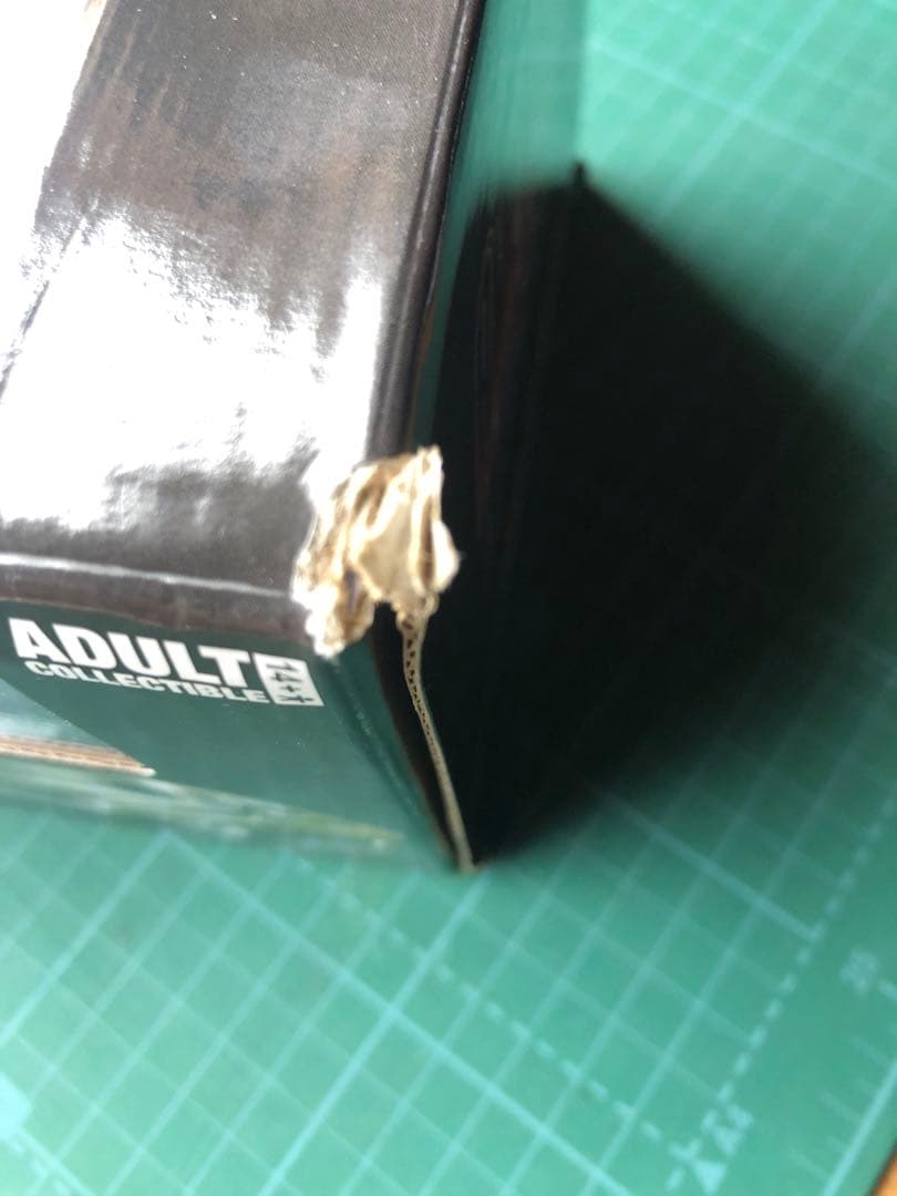 1971 ダッチチャージャー