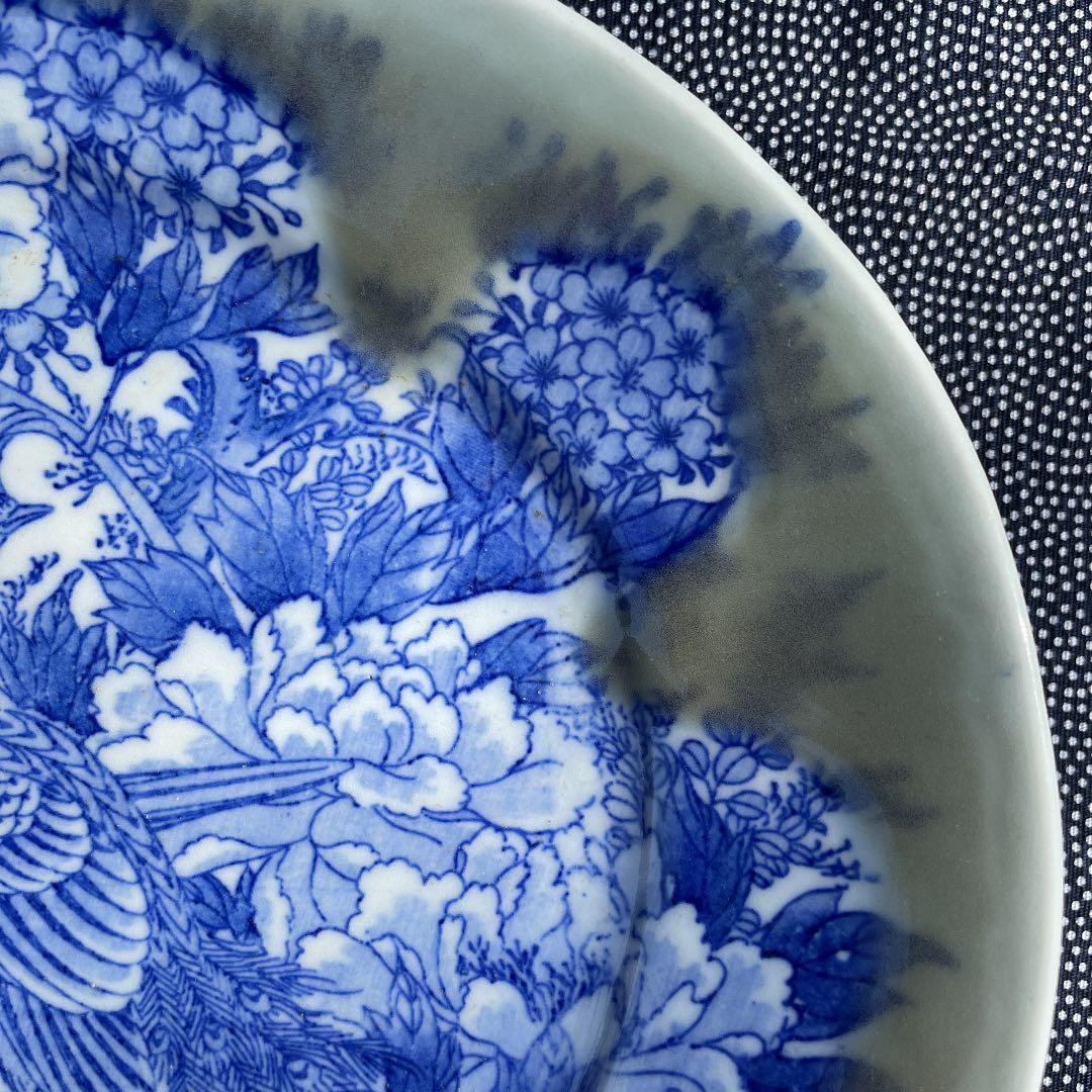 印判/手書き　花鳥図　牡丹桜孔雀図 盛皿