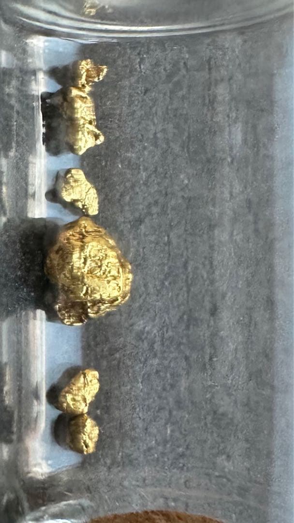 砂金　大きさ様々