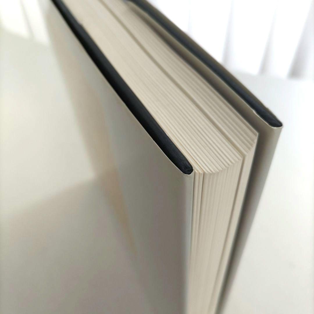 Ideal and Reality/ 絵画 水彩画 作品集 アート 画集 洋書