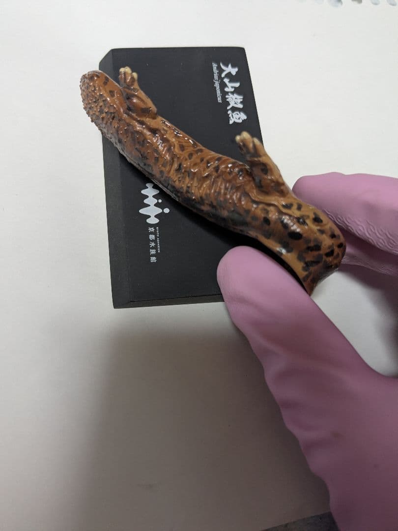 海洋堂 京都水族館限定フィギュア オオサンショウウオ