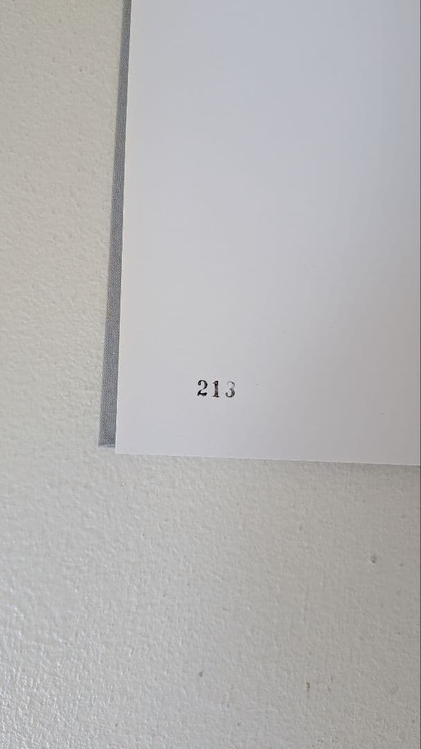 森山大道『bye-bye polaroid