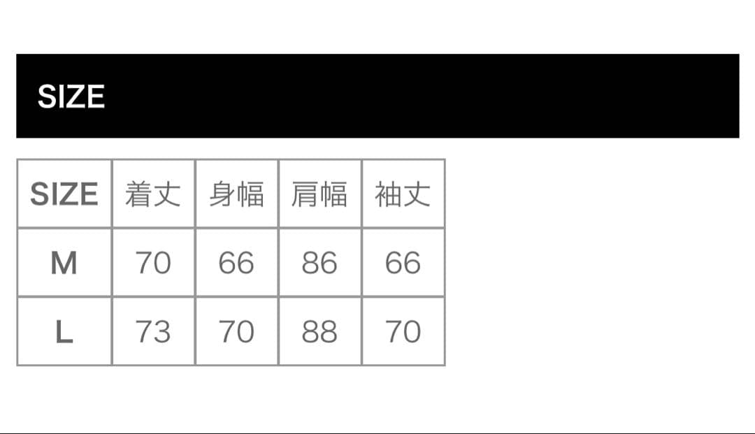 EVISEN SKATEBOARDS independent アノラック