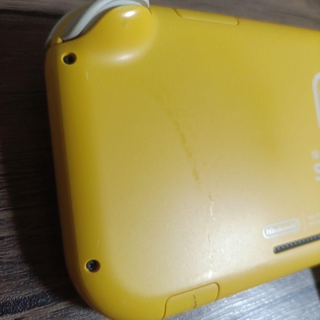 Switchライト ニンテンドースイッチ ケース付き