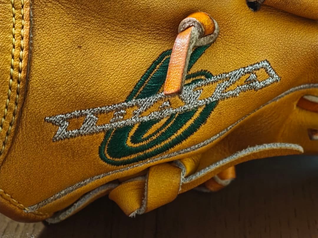 井端弘和氏 2010実使用 グラブ for Professional