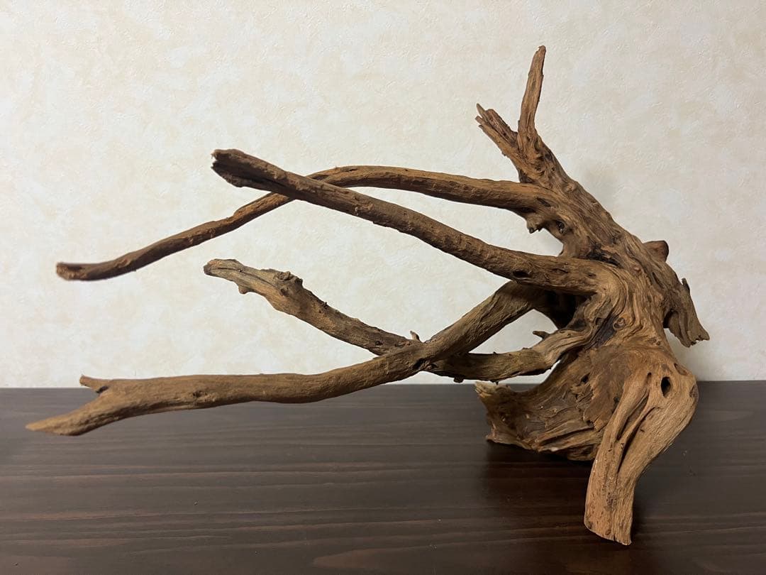 175 流木　ホーンウッド　マシンガンウッド　アクアリウム　ブランチウッド