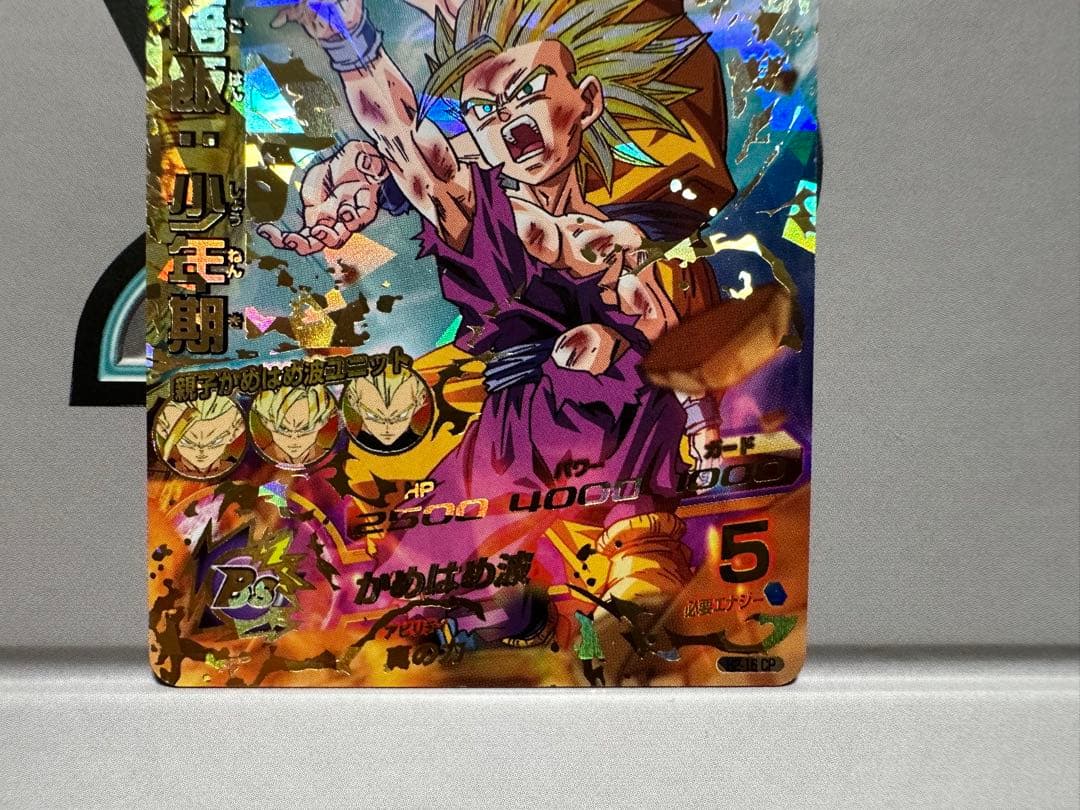 孫悟飯：少年期