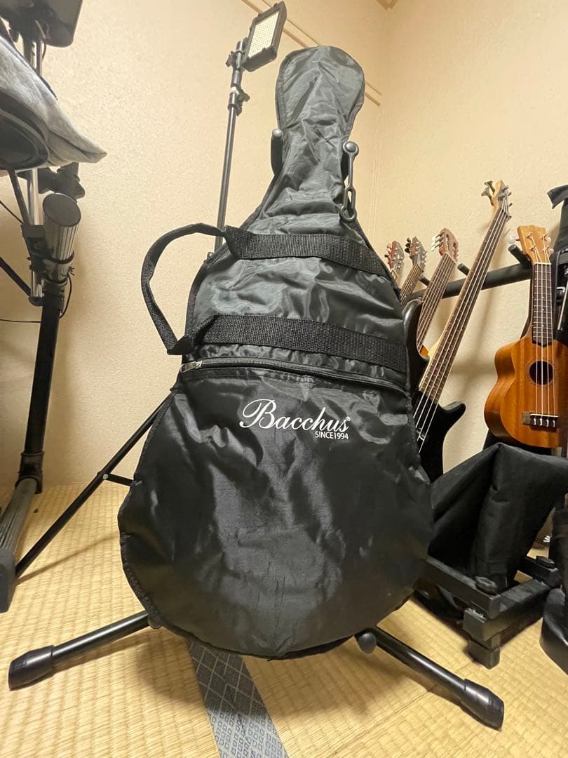 Bacchus Universe Series エレキギター