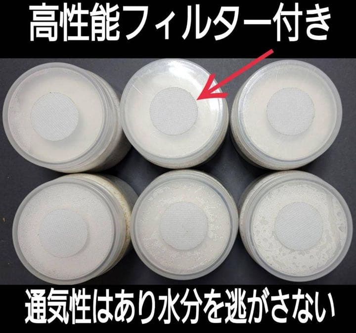 極上！黒アワビタケ菌糸瓶【10本】初令、2令に最適なサイズ！ニジイロクワガタに！