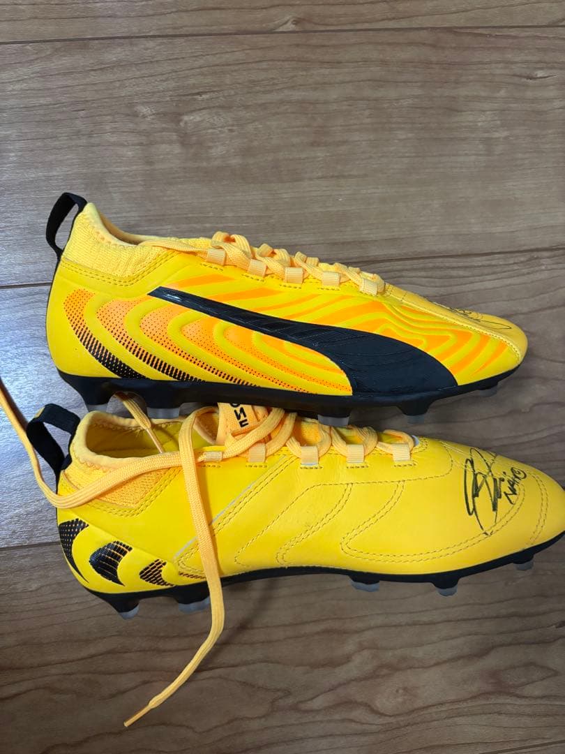 モコ　川澄奈穂美選手　サイン入りスパイク