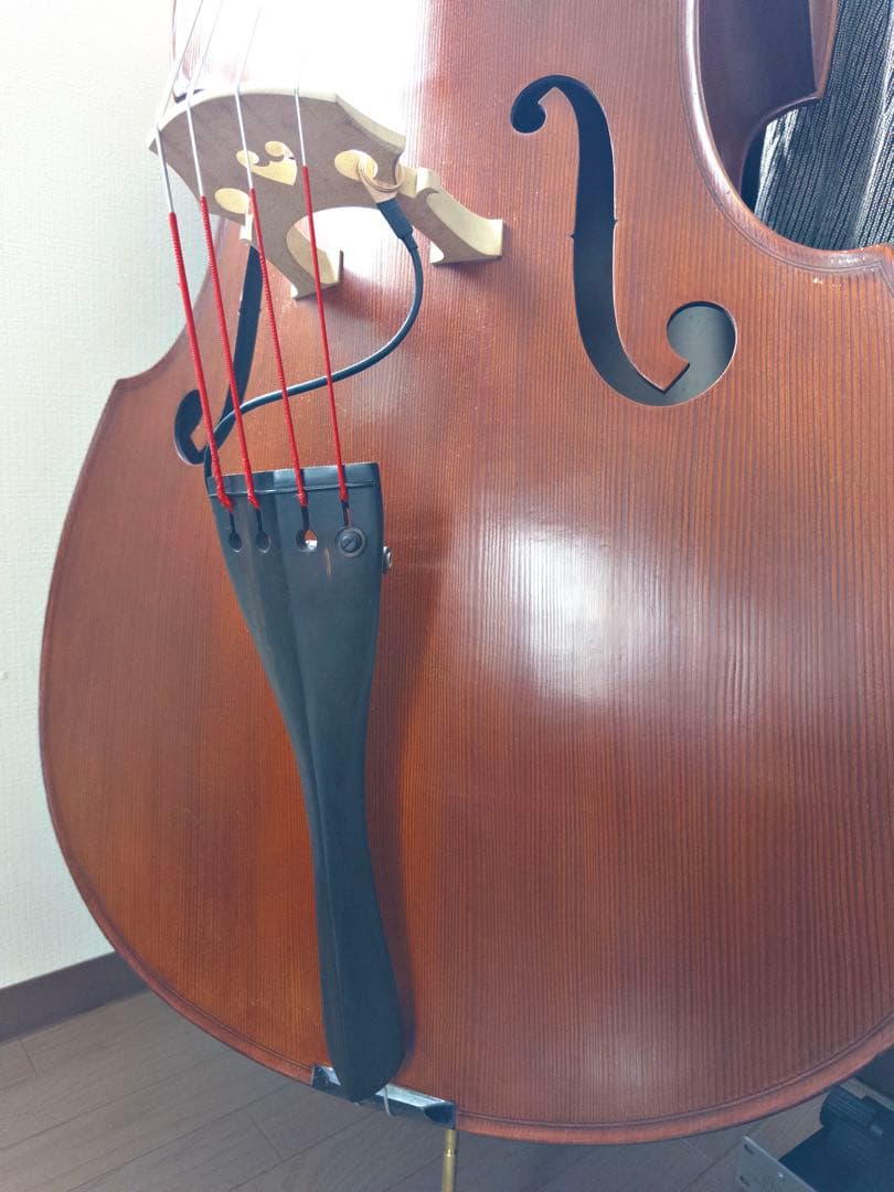 自宅用Gliga Gems Ⅱ G/Cコントラバス(国内4/4サイズ)