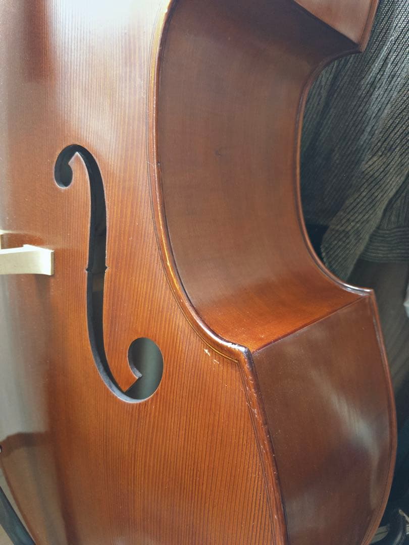 自宅用Gliga Gems Ⅱ G/Cコントラバス(国内4/4サイズ)