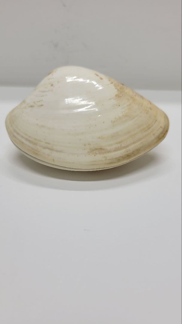 大きめ 江戸時代 貝合わせ 貝合せ 雛人形 蒔絵 ⑧金箔 源氏物語 郷土玩具