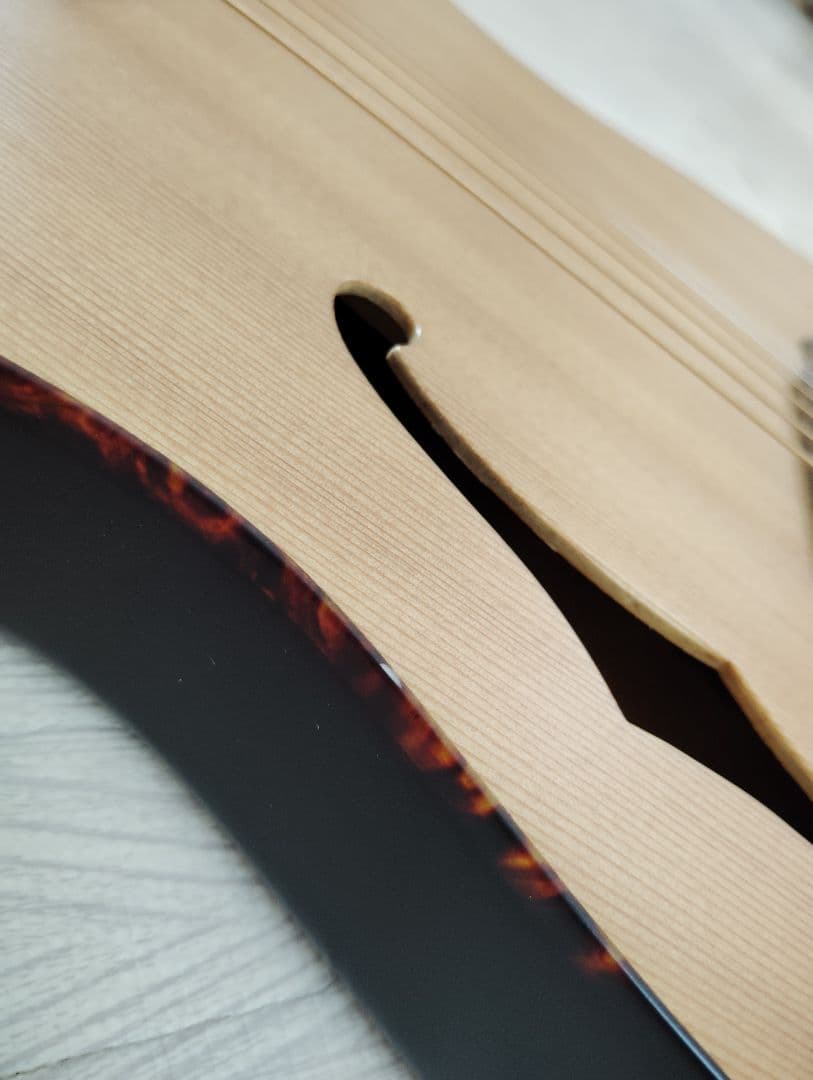 シェクター エレアコ OL-FL ナチュラル テレキャスタイプ SCHECTER