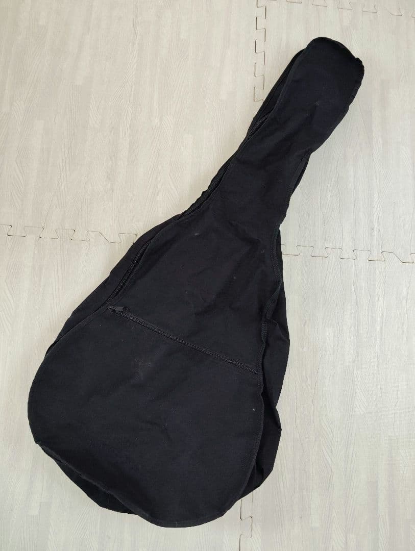 シェクター エレアコ OL-FL ナチュラル テレキャスタイプ SCHECTER