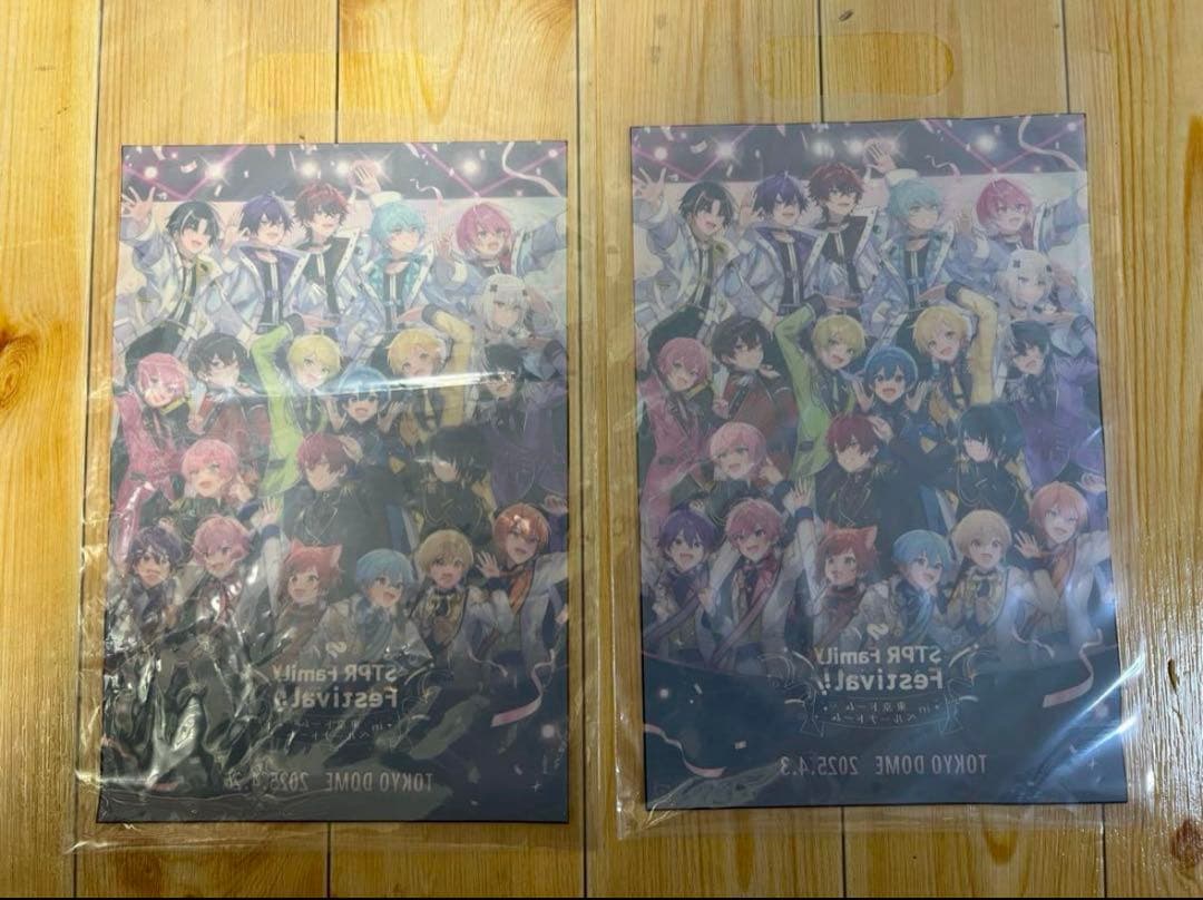 すとふぇす 東京ドーム リンライ ベルーナ ショッパーチケットファイル 銀テ絵馬