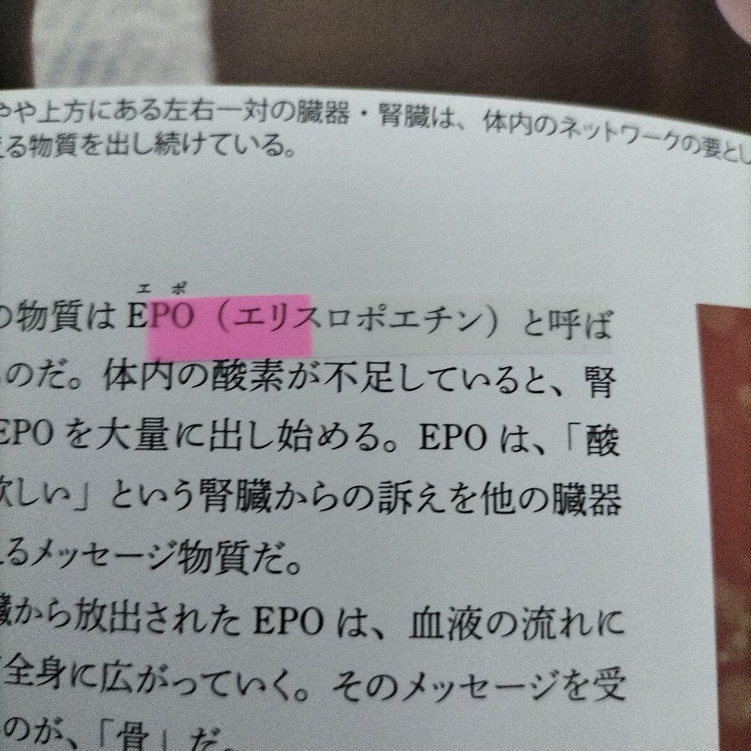 【期間限定値下げ】NHKスペシャル「人体～神秘の巨大ネットワーク」1＆2＆3＆4