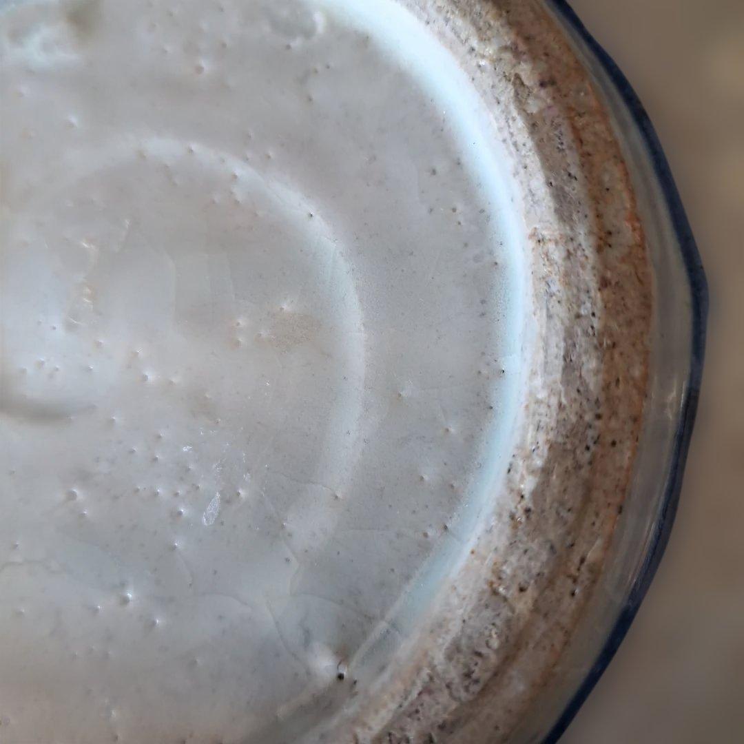 「まるで若冲(じゃくちゅう)のタッチ？！」 古伊万里染付皿(最大幅23cm) 骨