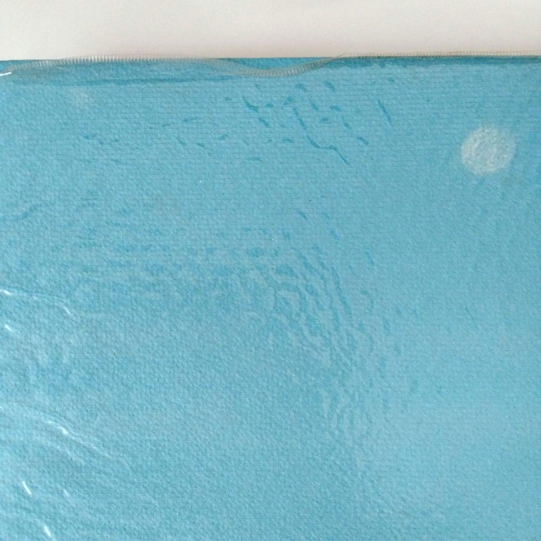 み*き様 【サイン入り・宛名無し】やなせたかし画集