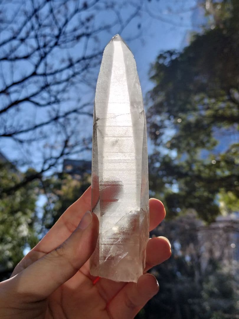 【早いもの勝ち超特価】オールドレムリアン　ピュアレイ