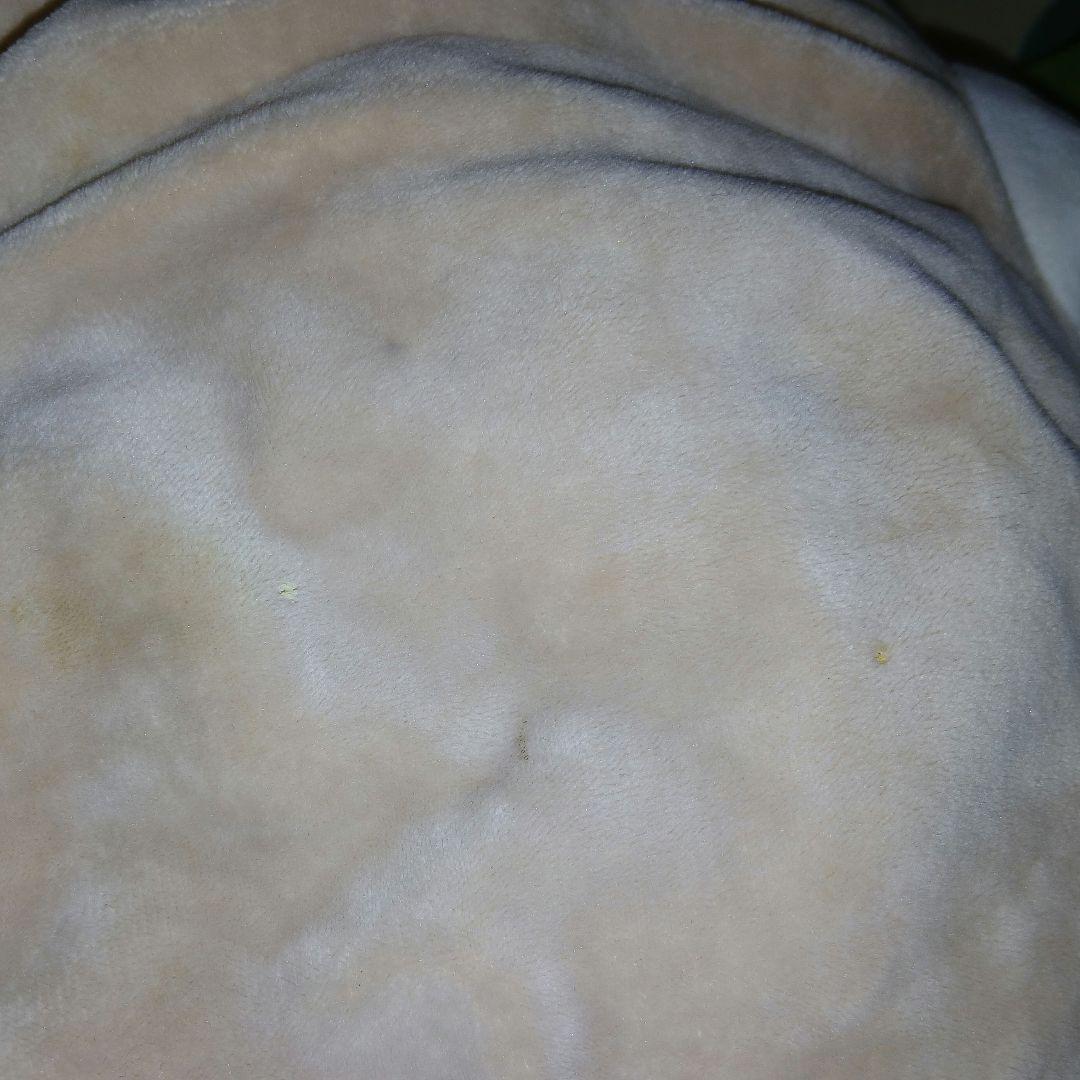 だるいぬ団　にゃもち　二代目ボス　ぬいぐるみ　ドウシシャ　ベージュ　大きめ