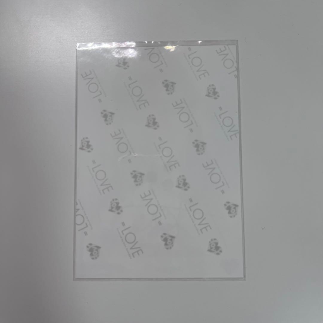 【最安値】=LOVE 佐々木舞香 直筆 ヨリ シナモン 生写真 匿名配送