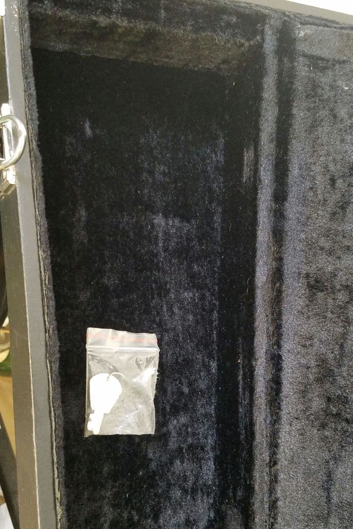 Ibanez Talman タルマン 日本製 Fシリアル ケース付