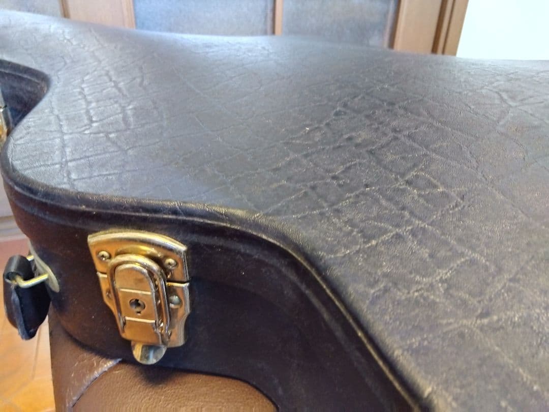 Epiphone Casino Natural （ハードケース付）