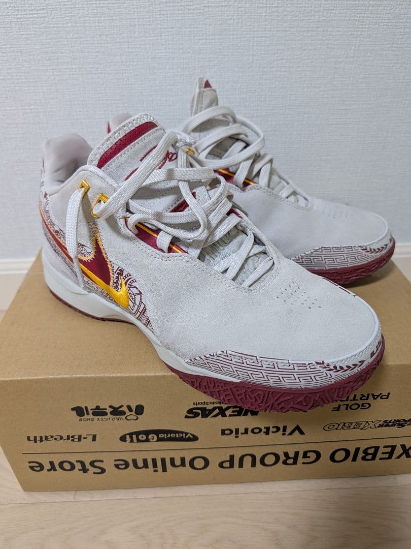 シューズ(男性用) NIKE LEBRON NXXTGEN AMPD