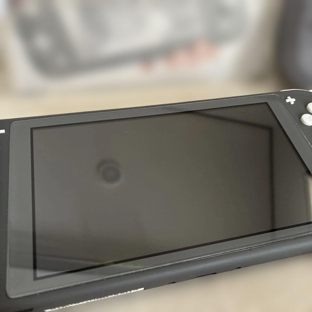 Switch Lite グレー