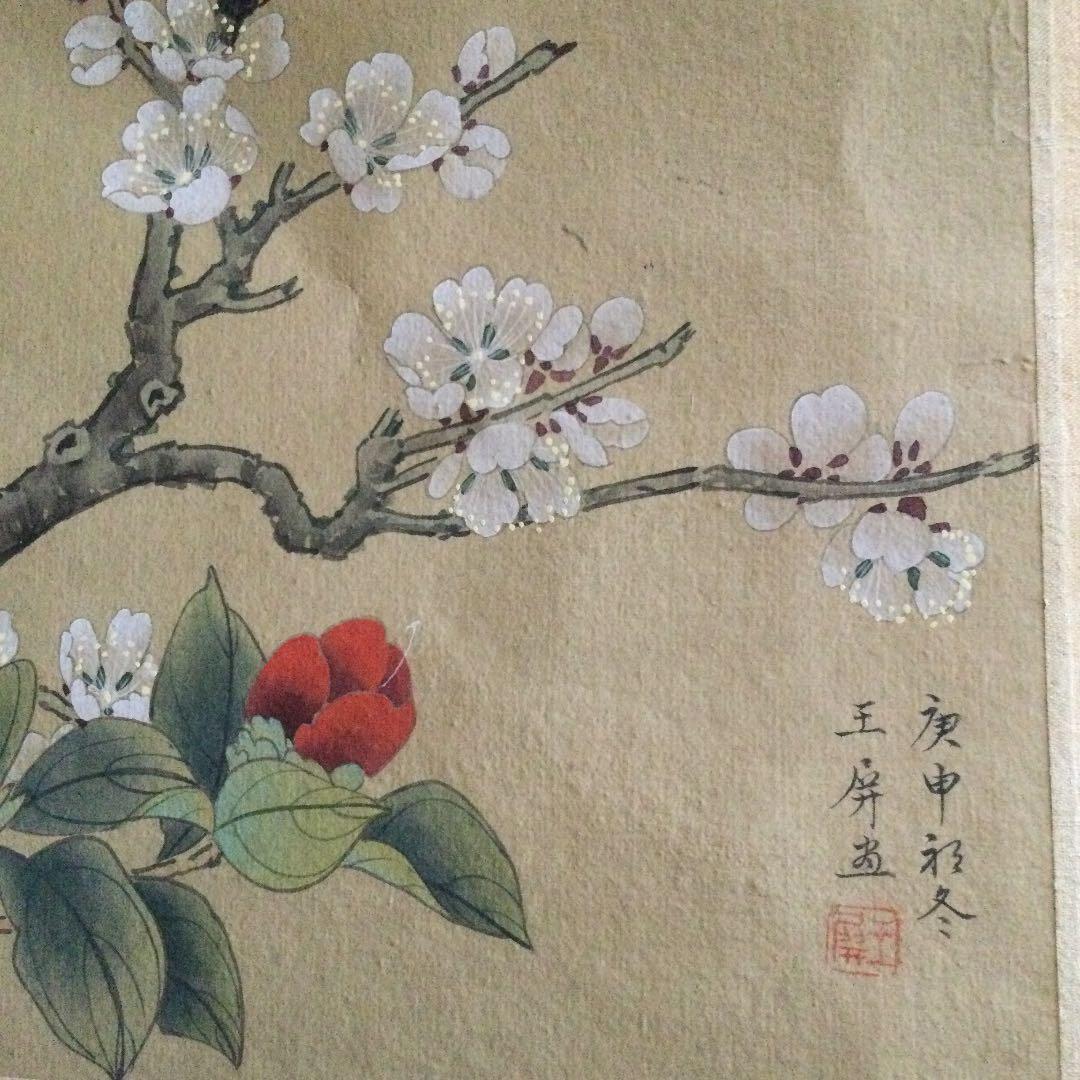 昭和　レトロ　椿　メジロ？