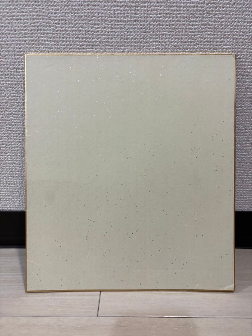 のりピー　酒井法子　直筆サイン　写真付き