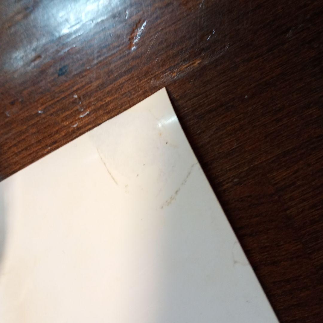 Björk voltaヴォルタ ポスター日本盤レアヴィジュアルポスター