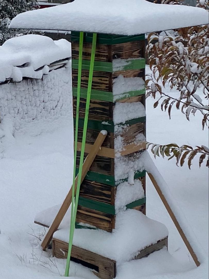日本ミツバチ重箱式巣箱　飼育捕獲用