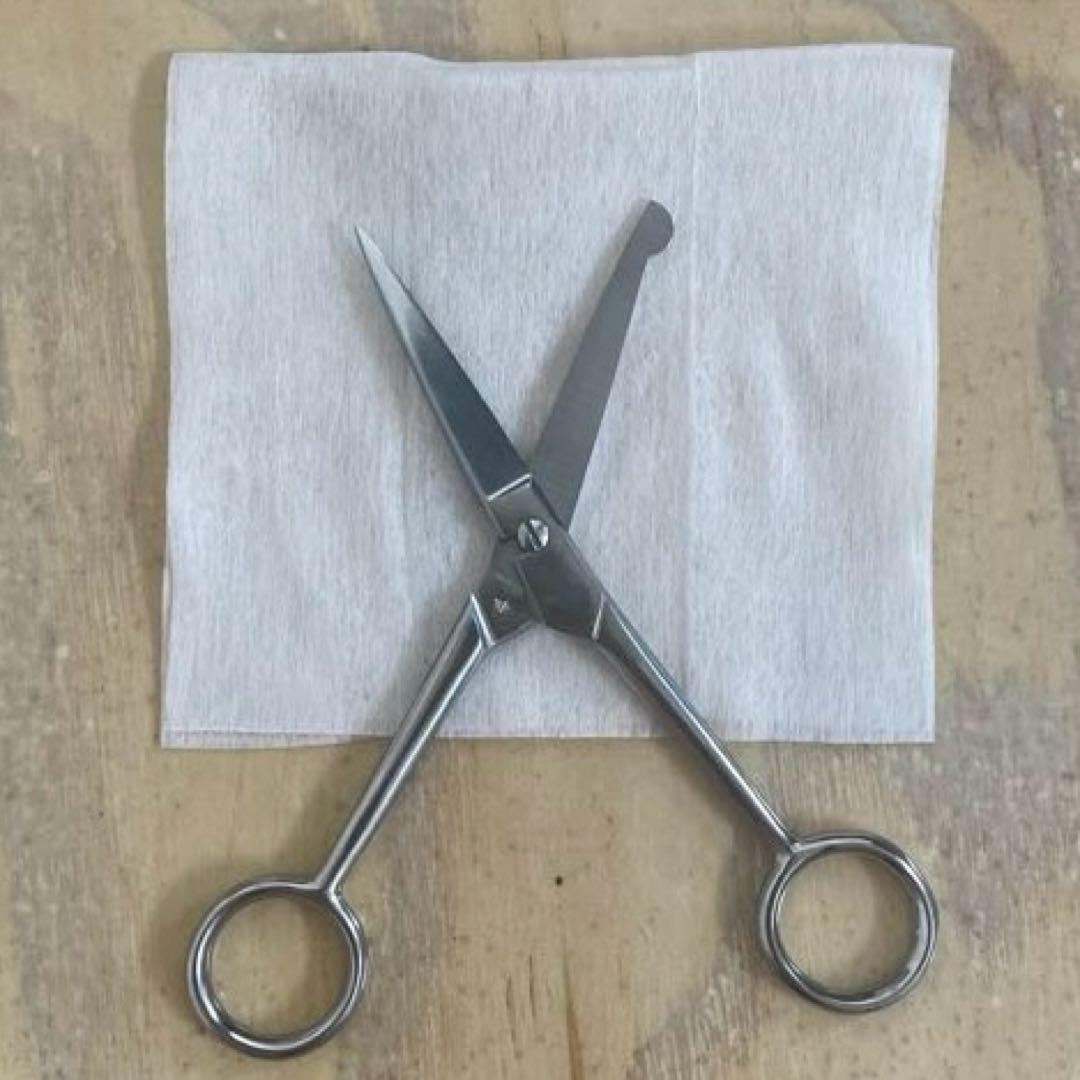 生物　昆虫採取　解剖セット　標本セット　実習キット