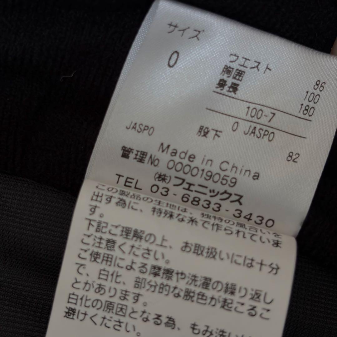 美品 Phenixフェニックス スキー スノボー ウェアー 雪山 L 上下セット